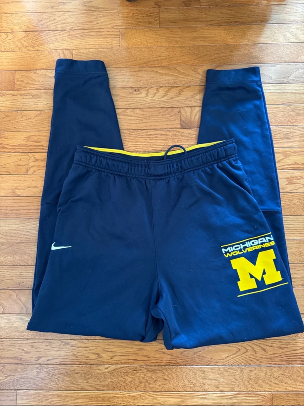 Nike Michigan Sweatpants size Large